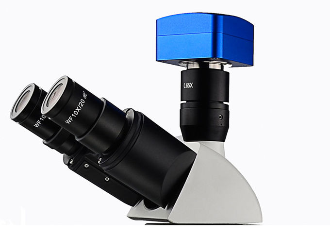 Microscopio de fluorescencia vertical de la luz transmitida UMT203i para los laboratorios forenses